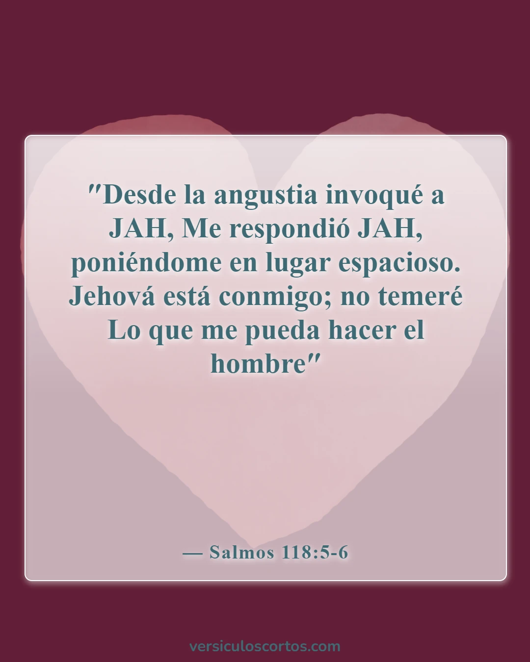 Versículos de la Biblia sobre la ansiedad y la depresión (Salmos 118:5-6)