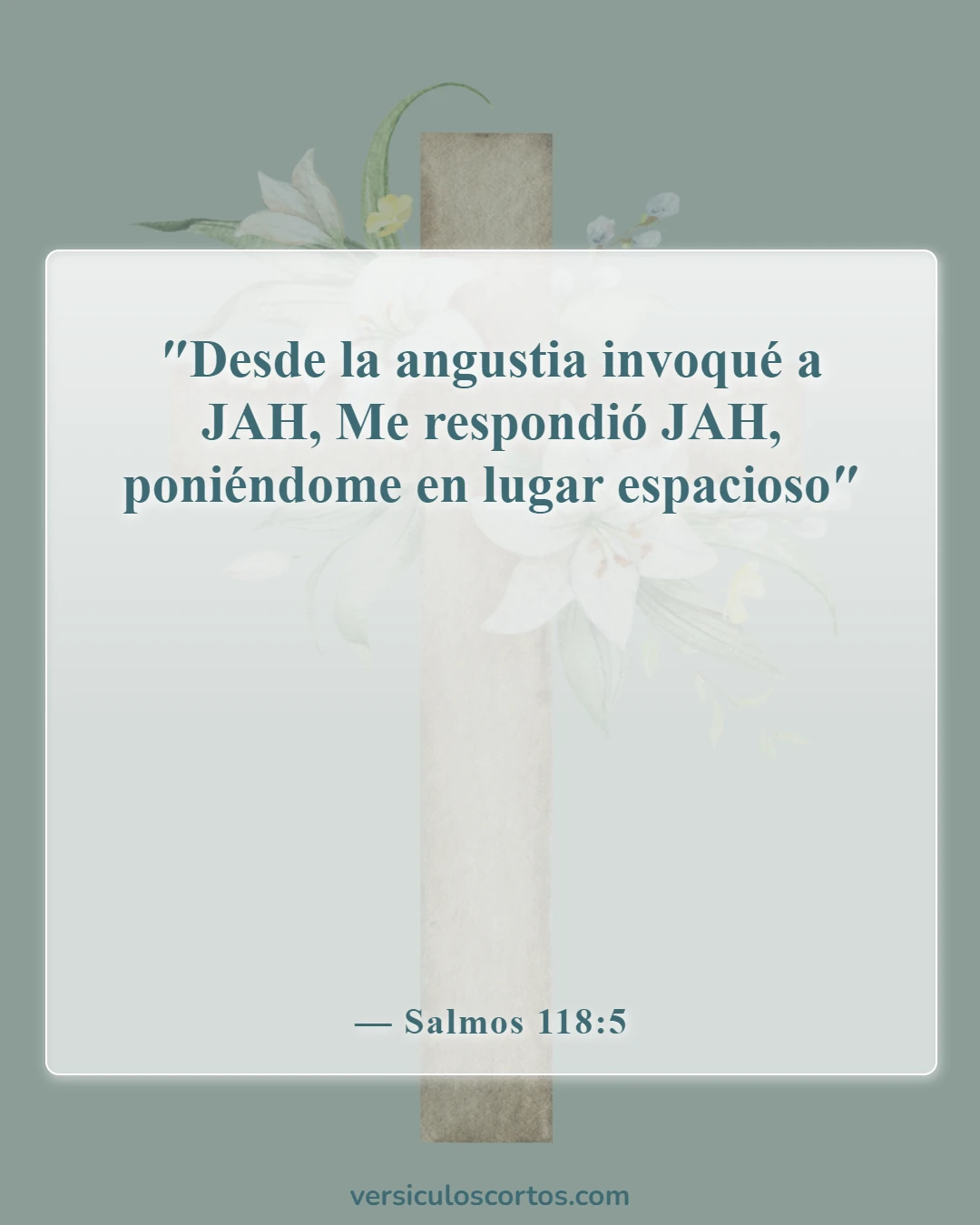 Versículos de la Biblia sobre pedir ayuda (Salmos 118:5)