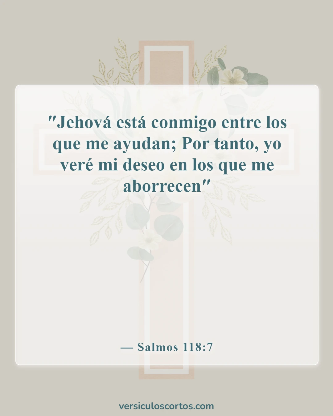 Versículos de la Biblia sobre la liberación de los enemigos (Salmos 118:7)