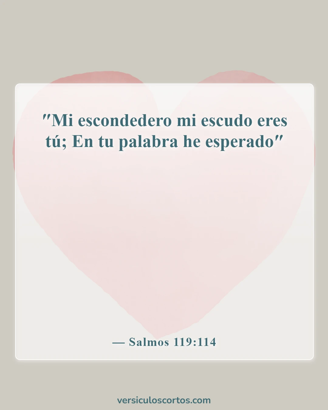 Versículos de la Biblia sobre cómo esperar en Dios (Salmos 119:114)