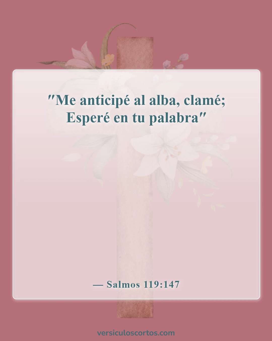Versículos de la Biblia sobre pasar tiempo con Dios (Salmos 119:147)