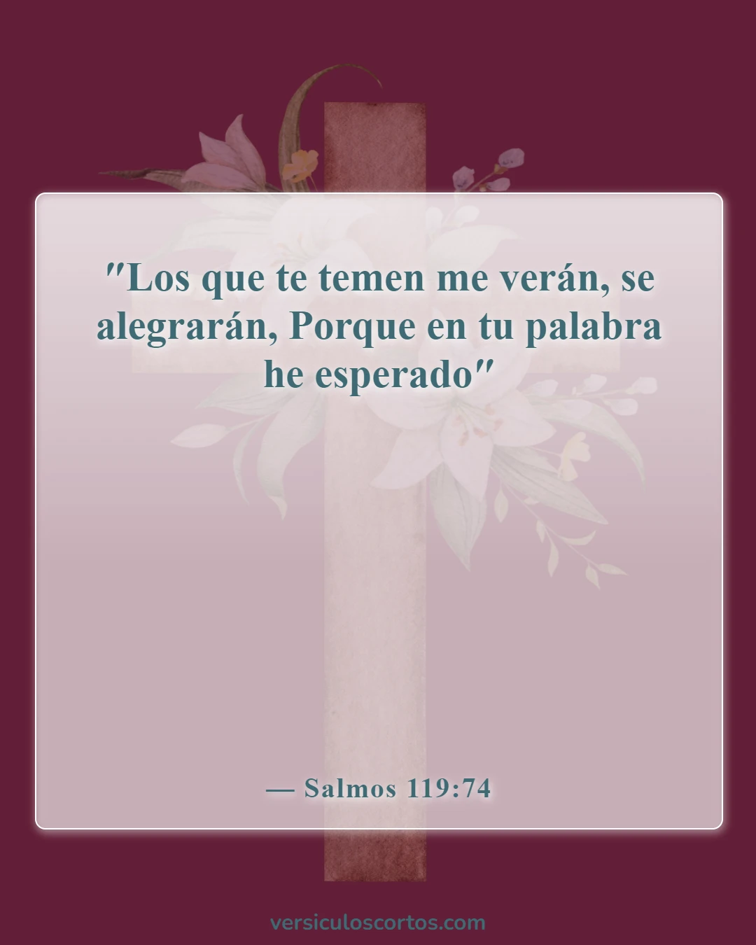 Versículos de la Biblia sobre memorizar las Escrituras (Salmos 119:74)