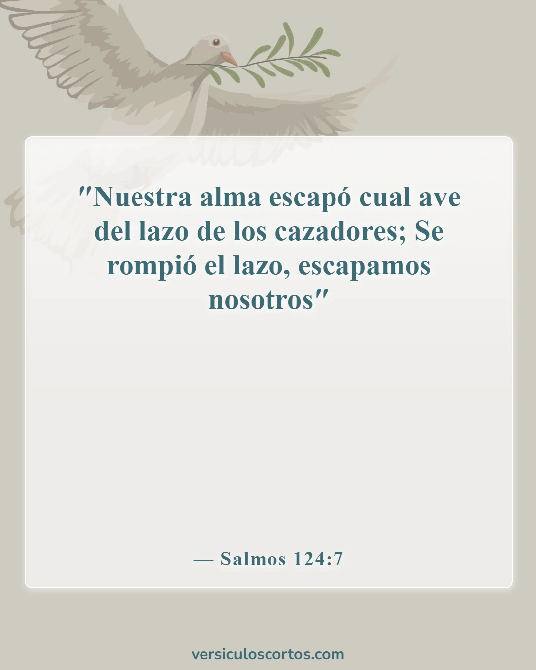 Versículos de la Biblia sobre la liberación de los enemigos (Salmos 124:7)