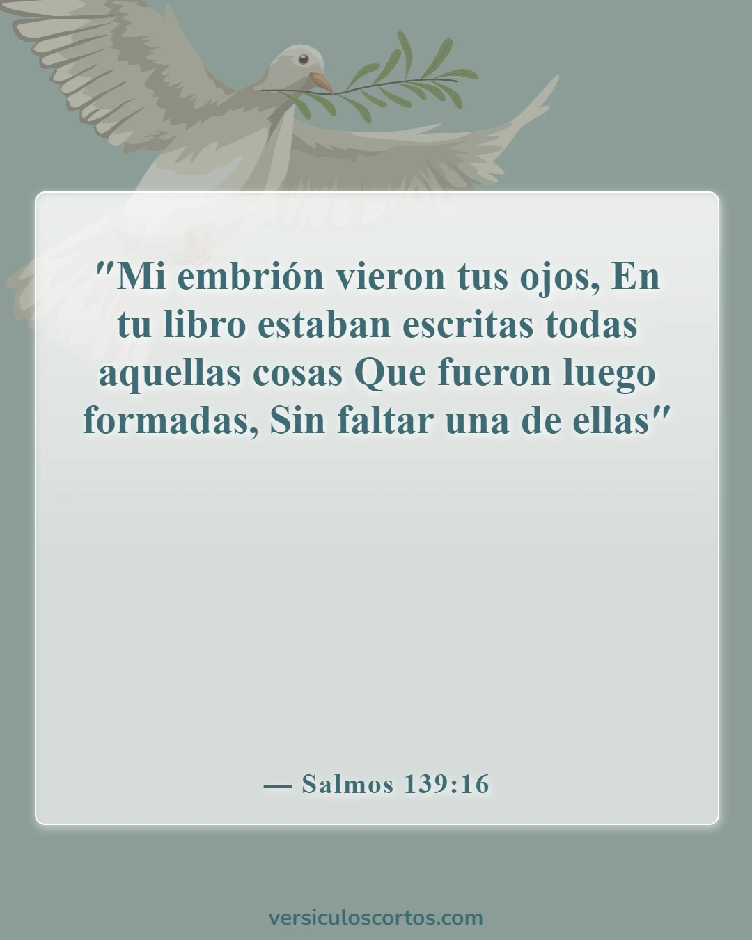 Versículos de la Biblia sobre que Dios tiene el control (Salmos 139:16)