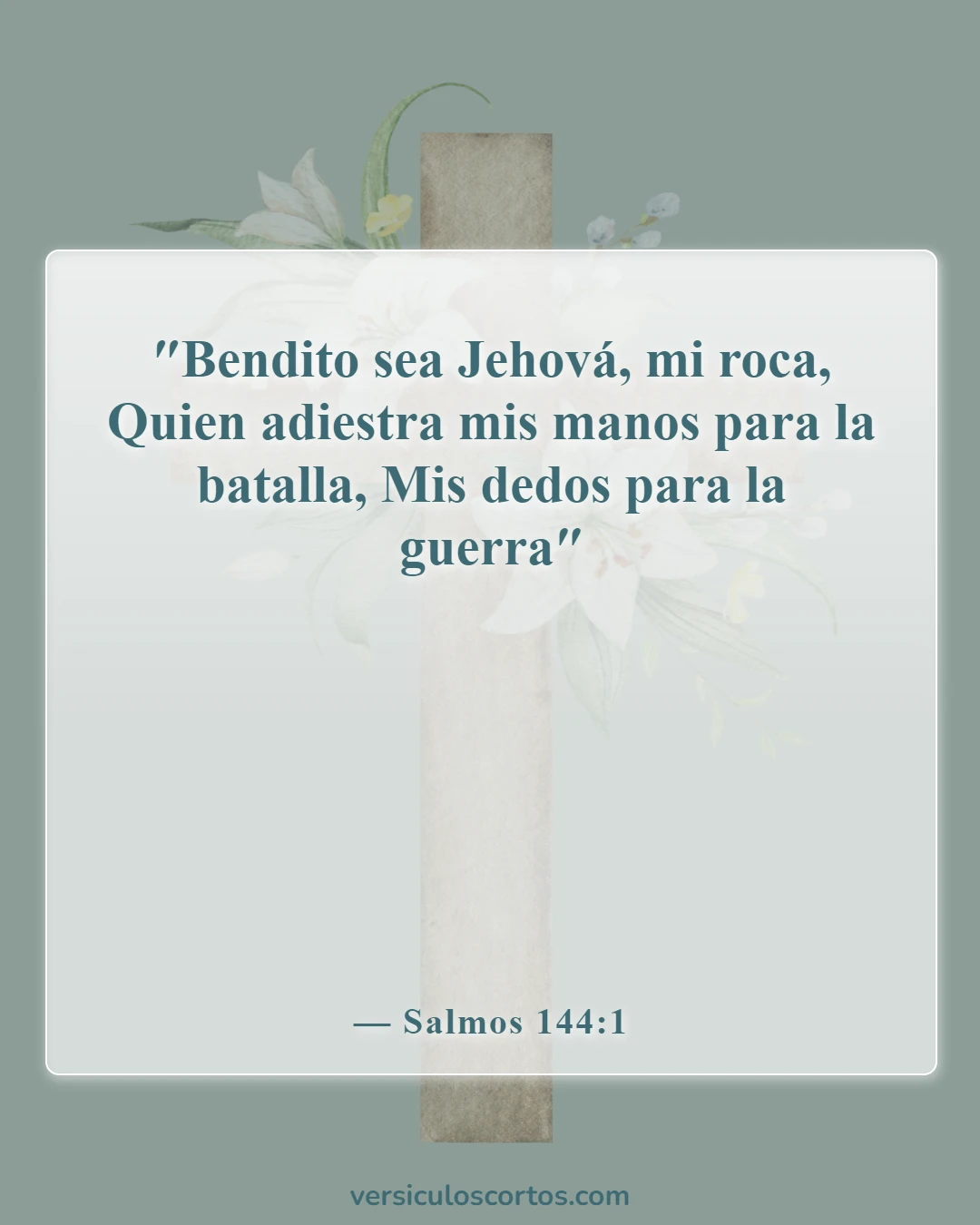 Versículos de la Biblia sobre la victoria en Cristo (Salmos 144:1)