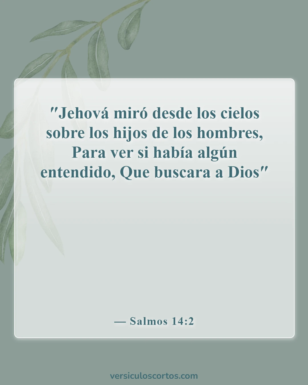 Versículos de la Biblia sobre encontrar a Dios (Salmos 14:2)