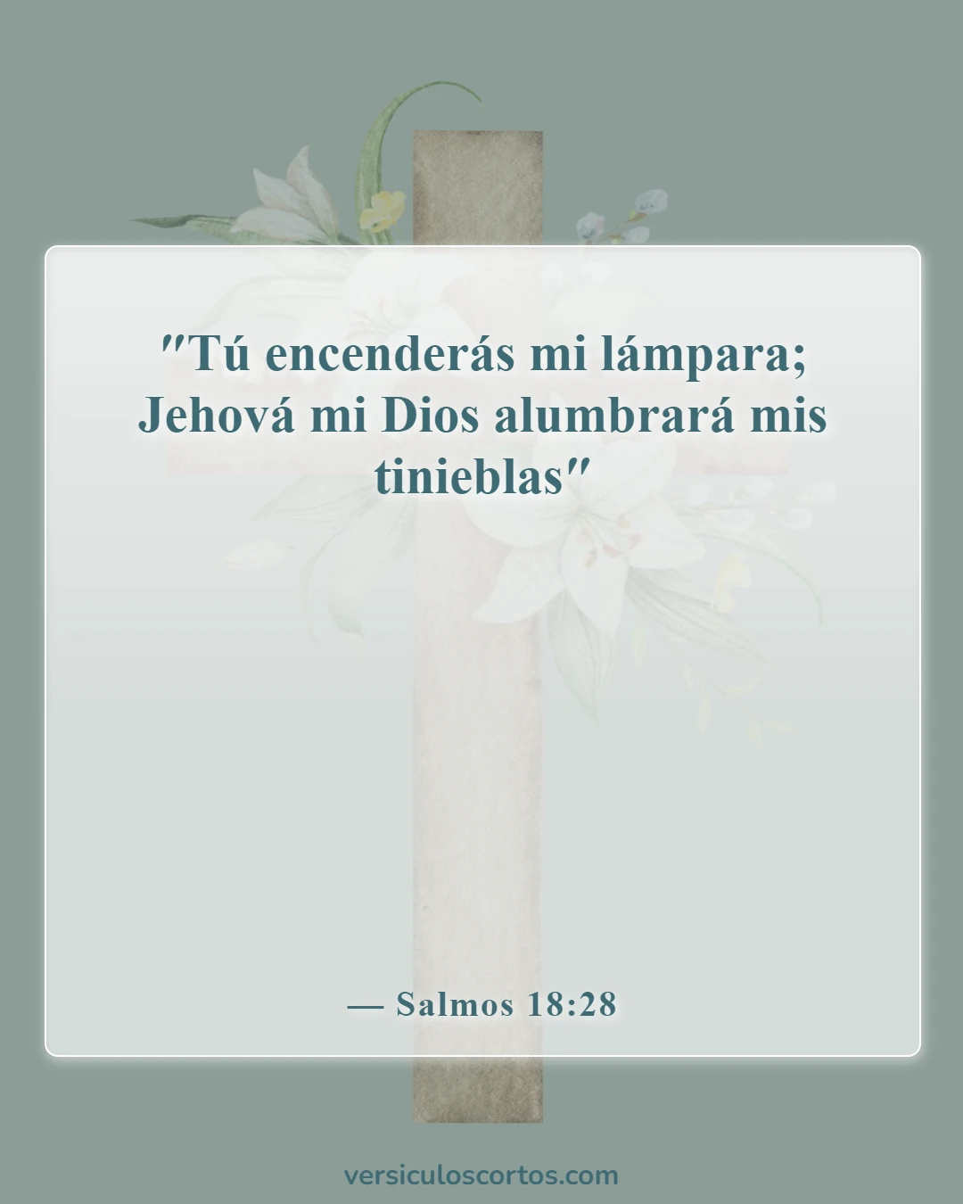 Versículos de la Biblia sobre la luz (Salmos 18:28)