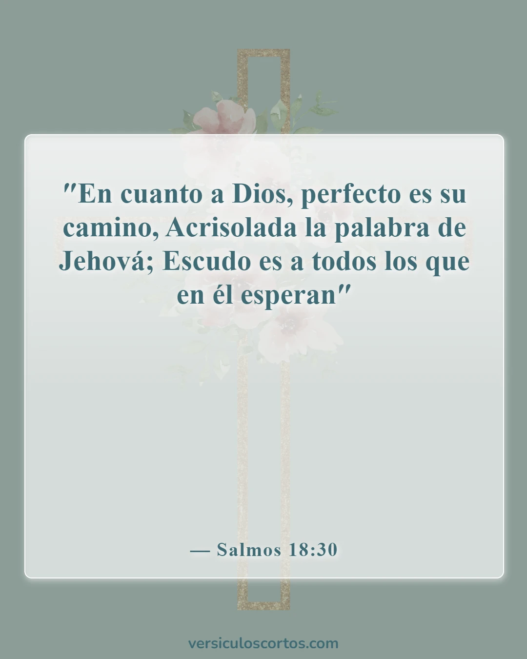 Versículos bíblicos sobre aplicar la Biblia (Salmos 18:30)