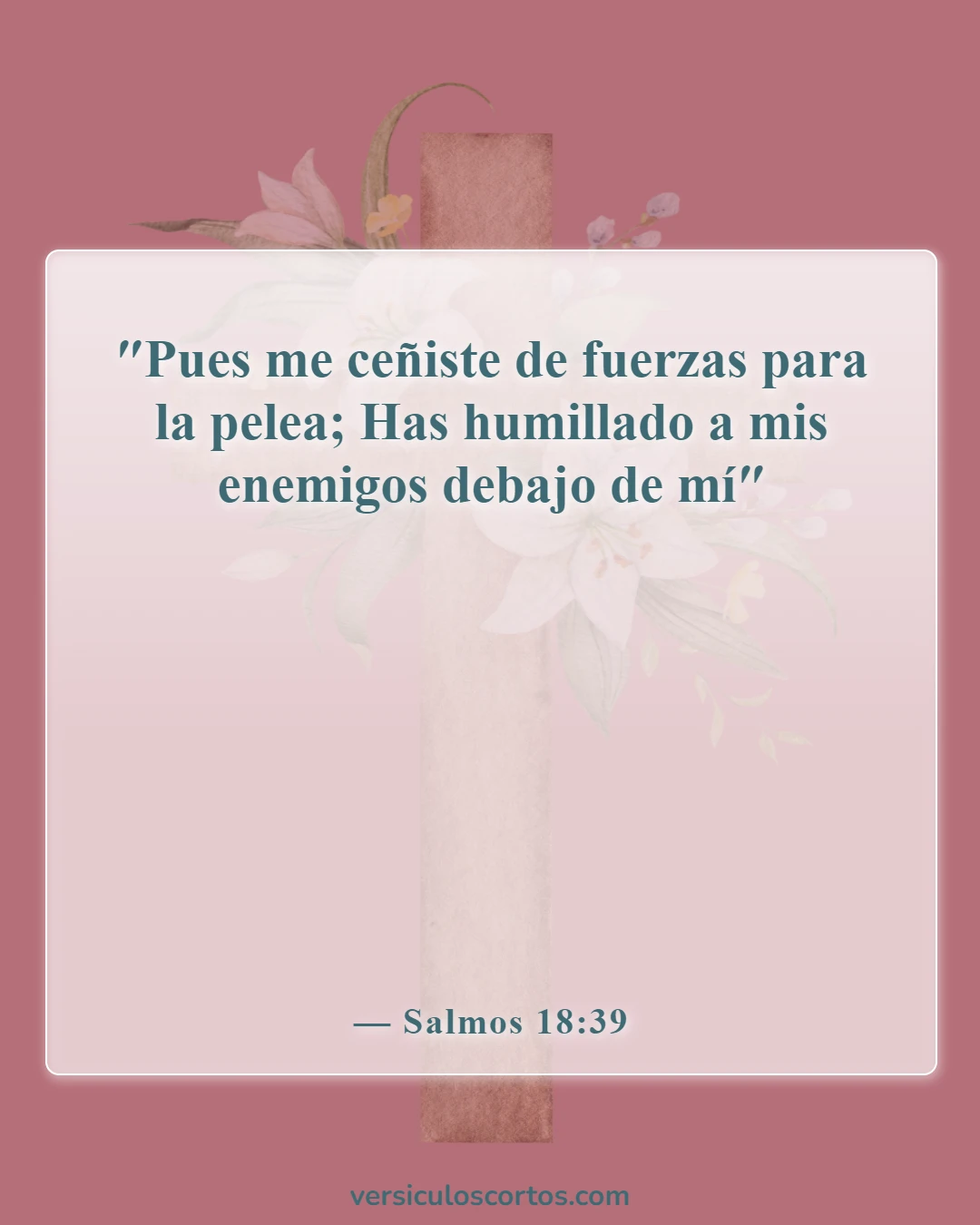Versículos de la Biblia sobre la Armadura de Dios (Salmos 18:39)