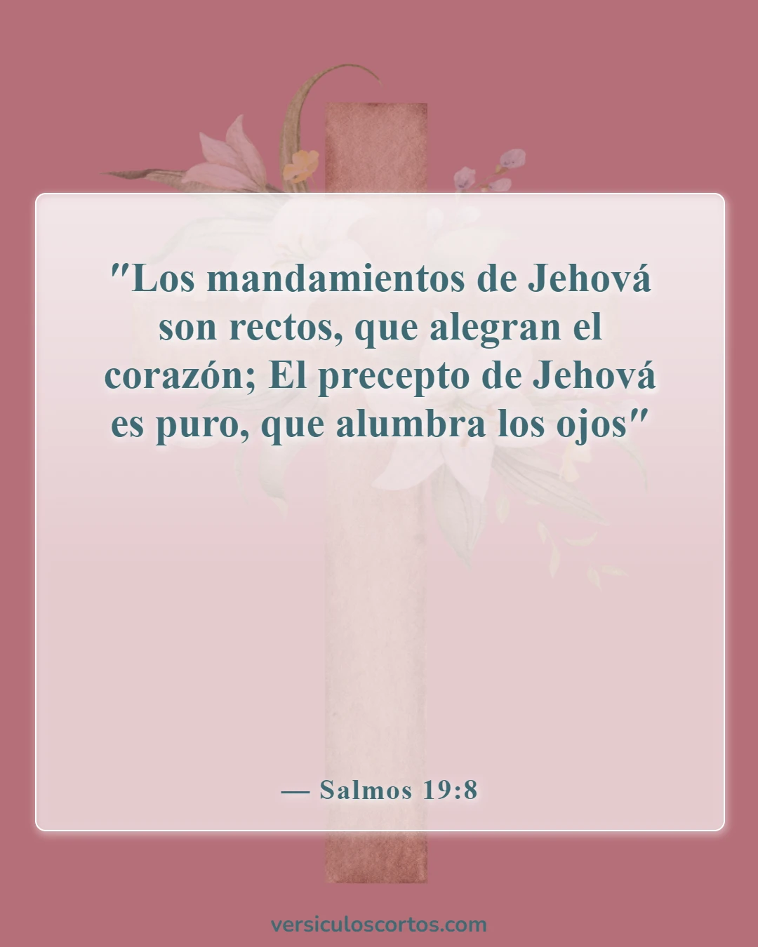 Versículos de la Biblia sobre seguir instrucciones (Salmos 19:8)