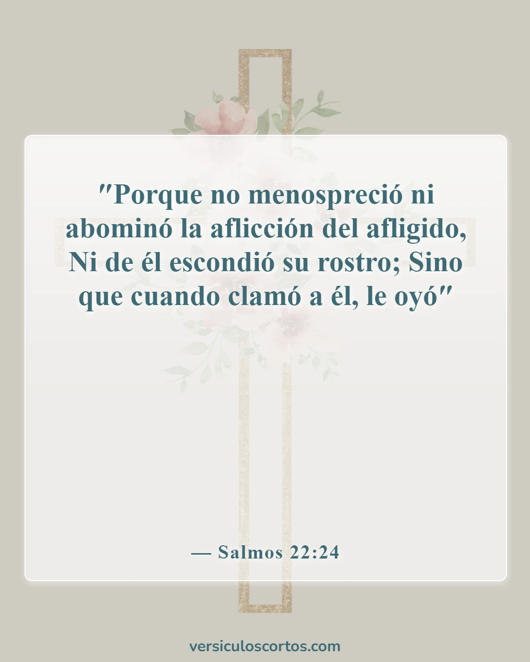 Versículos de la Biblia sobre la aflicción (Salmos 22:24)