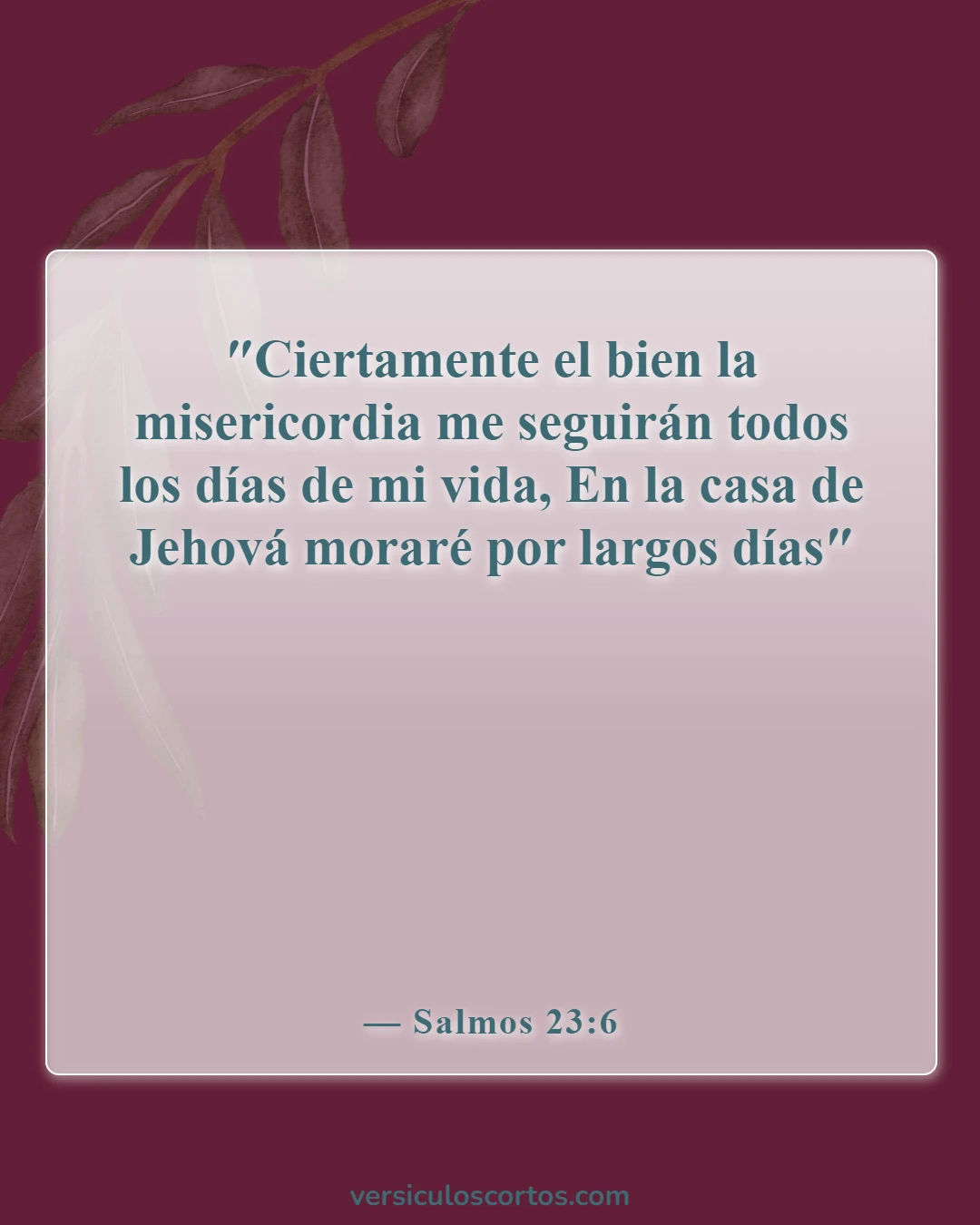 Versículos de la Biblia sobre la vida después de la muerte (Salmos 23:6)