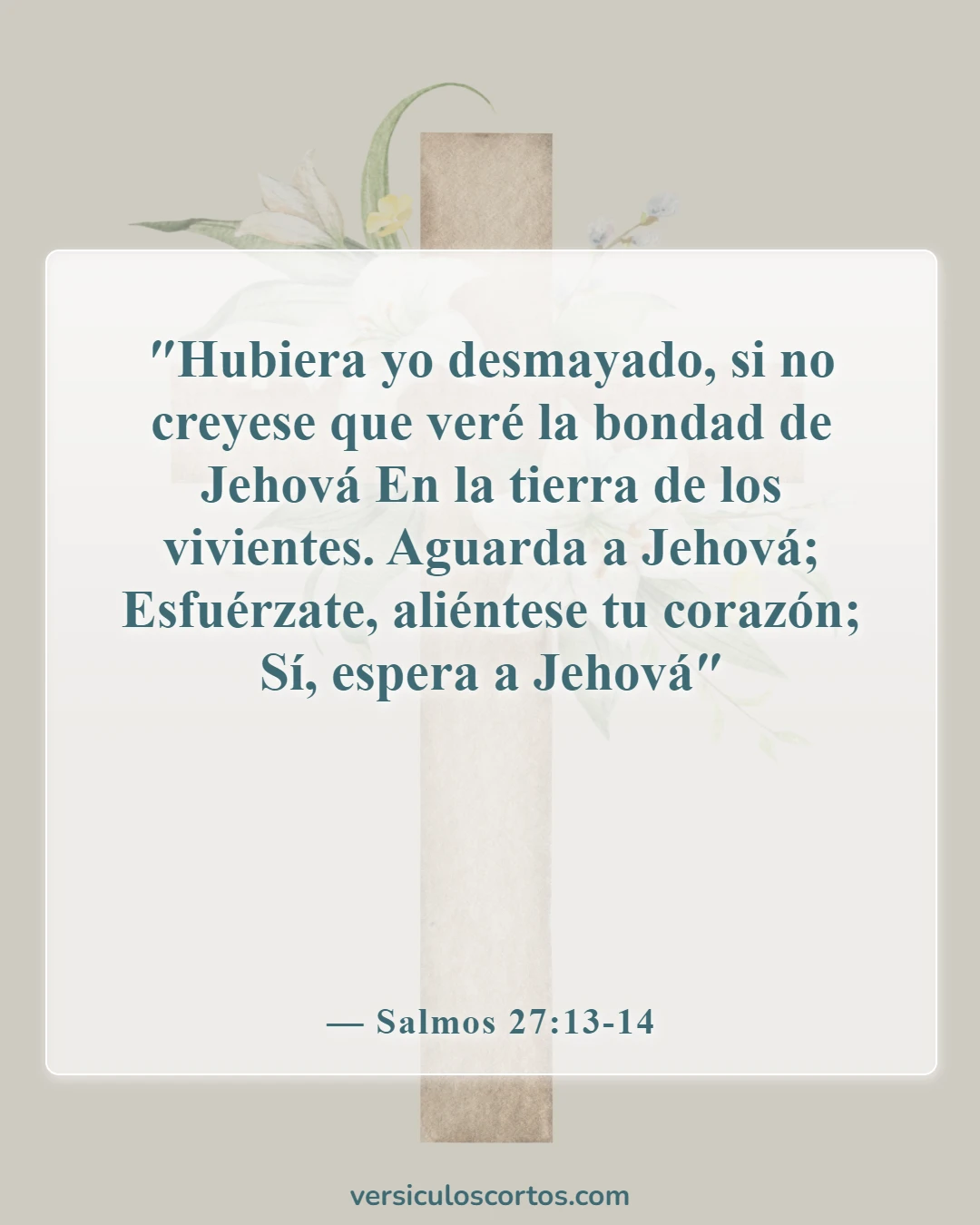 Versículos de la Biblia sobre la pérdida de un amigo (Salmos 27:13-14)