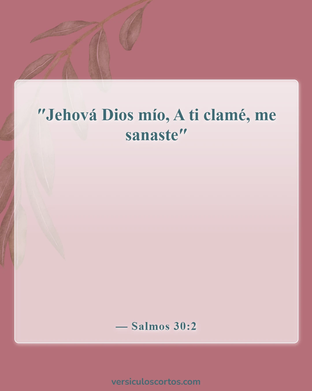 Versículos de la Biblia sobre la sanación divina (Salmos 30:2)