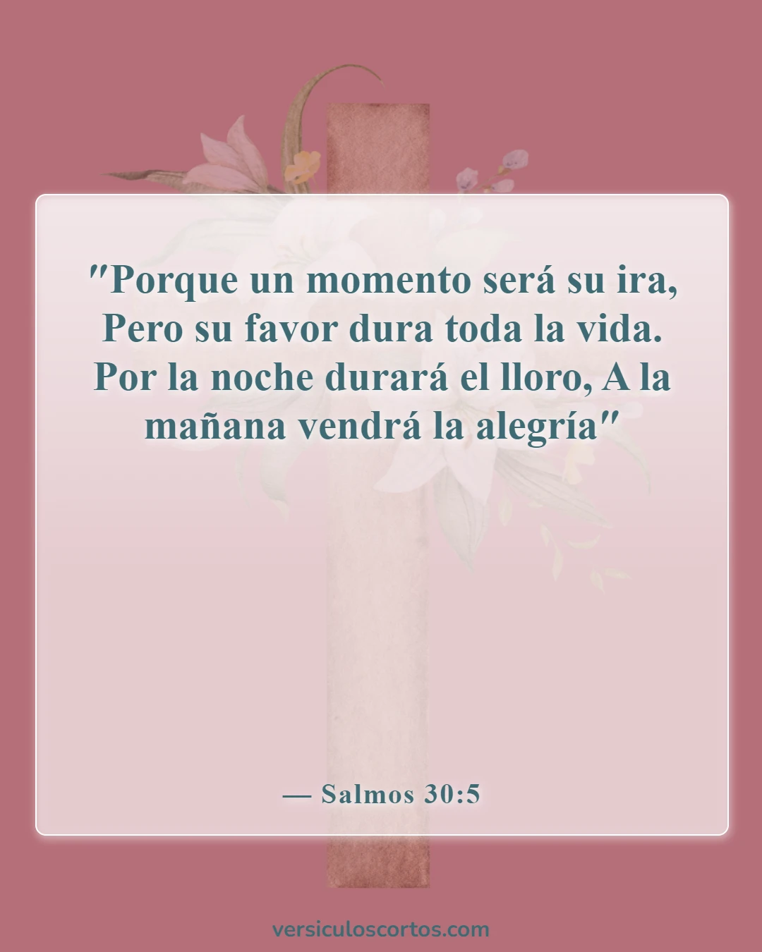 Versículos de la Biblia sobre la Apreciación de la Vida (Salmos 30:5)