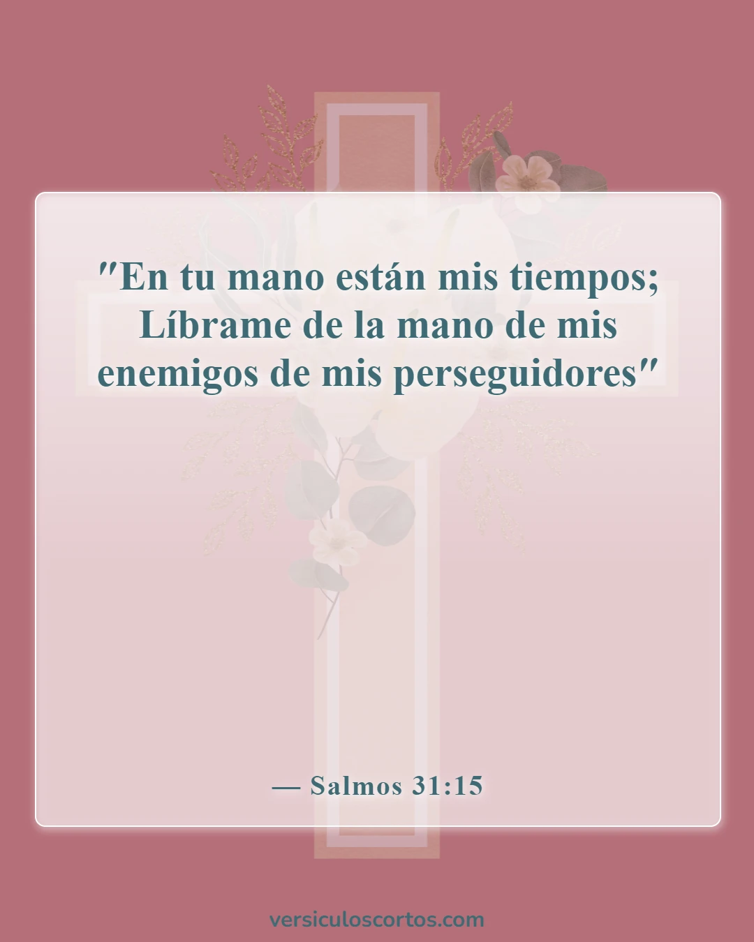 Versículos de la Biblia sobre la liberación de los enemigos (Salmos 31:15)