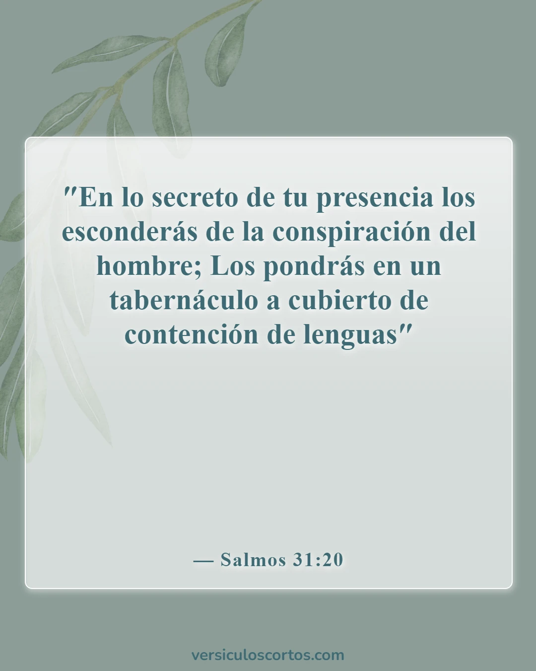 Versículos bíblicos sobre la presencia de Dios (Salmos 31:20)