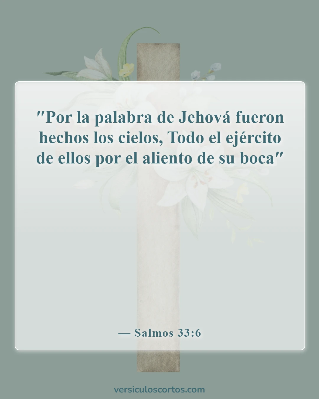 Versículos bíblicos sobre el poder de la palabra (Salmos 33:6)