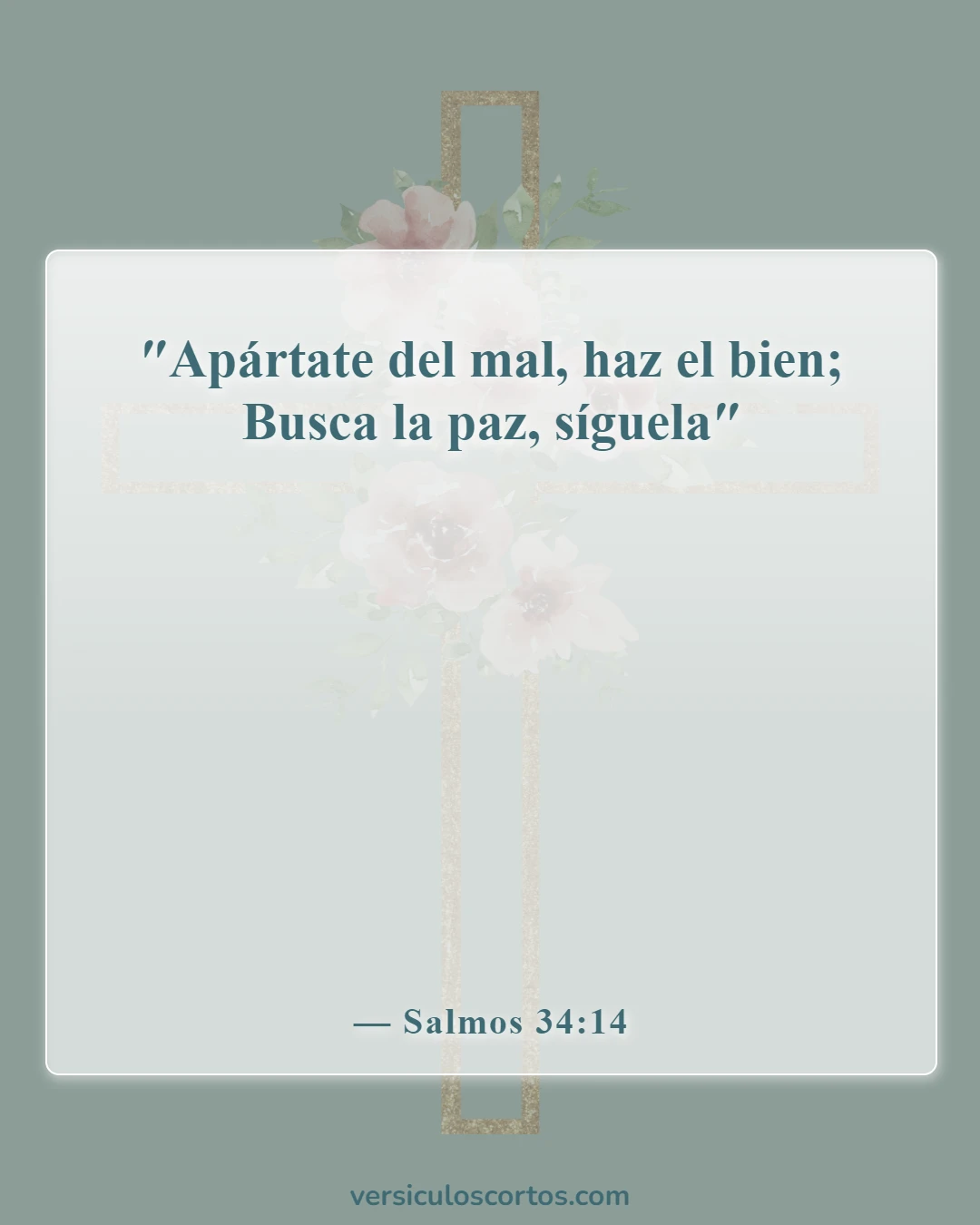 Versículos de la Biblia sobre el principio de Dios (Salmos 34:14)