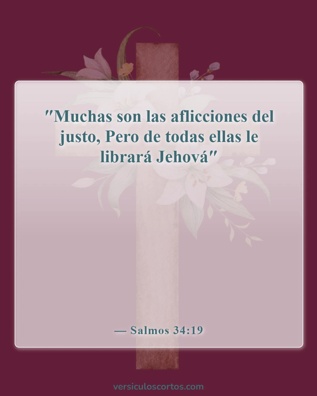 Versículos de la Biblia sobre la liberación de los enemigos (Salmos 34:19)