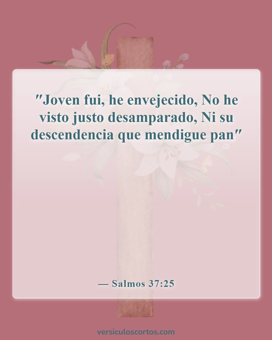 Versículos de la Biblia sobre problemas financieros (Salmos 37:25)