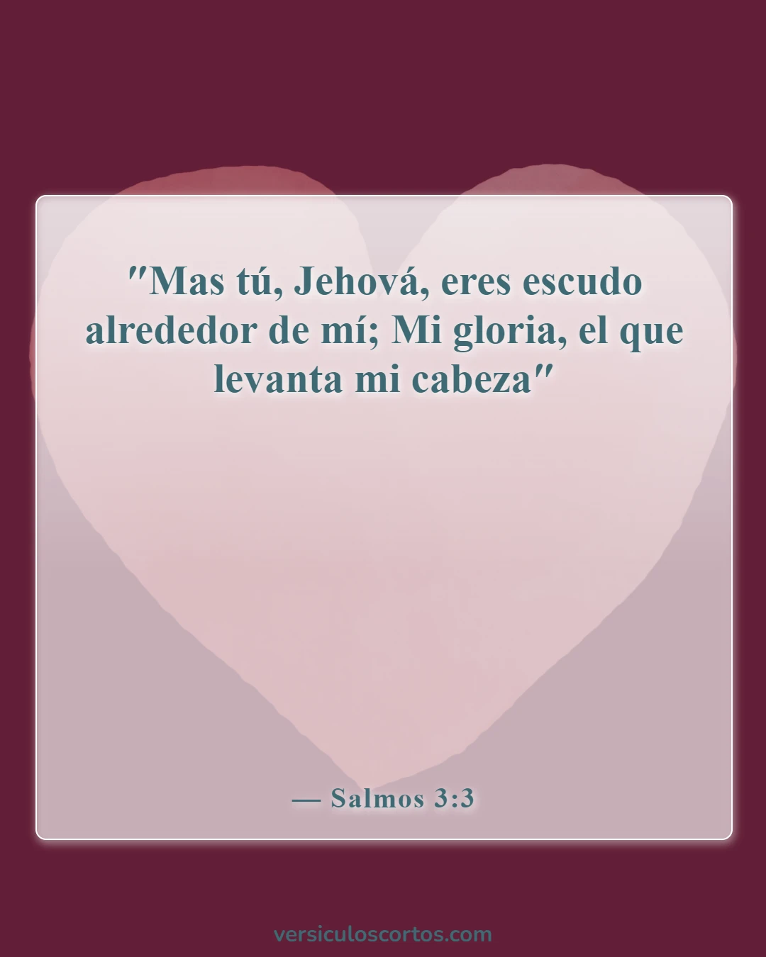 Versículos bíblicos sobre la protección divina (Salmos 3:3)