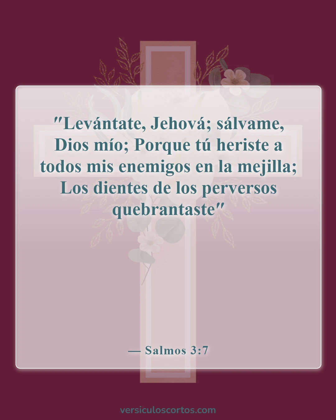 Versículos de la Biblia sobre la liberación de los enemigos (Salmos 3:7)