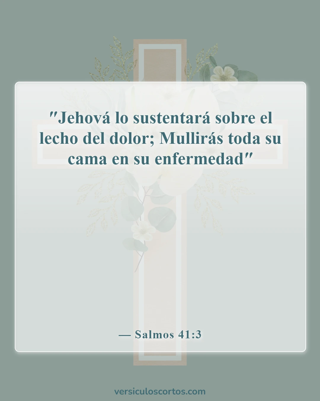 Versículos bíblicos sobre el cuidado de los enfermos (Salmos 41:3)