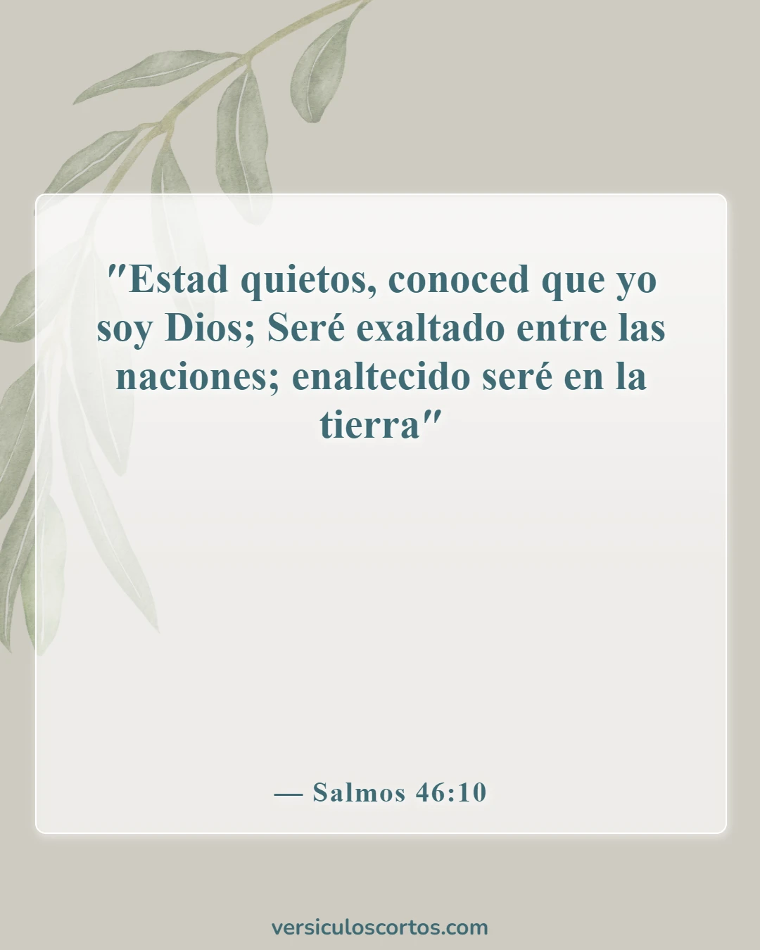 Versículos de la Biblia sobre la Apreciación de la Vida (Salmos 46:10)