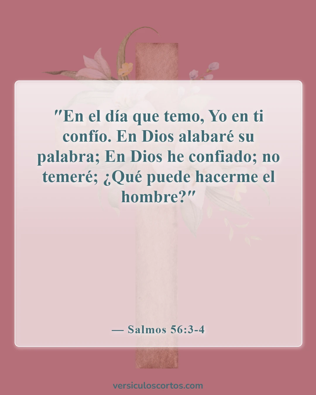 Versículos de la Biblia sobre defender a tu familia (Salmos 56:3-4)