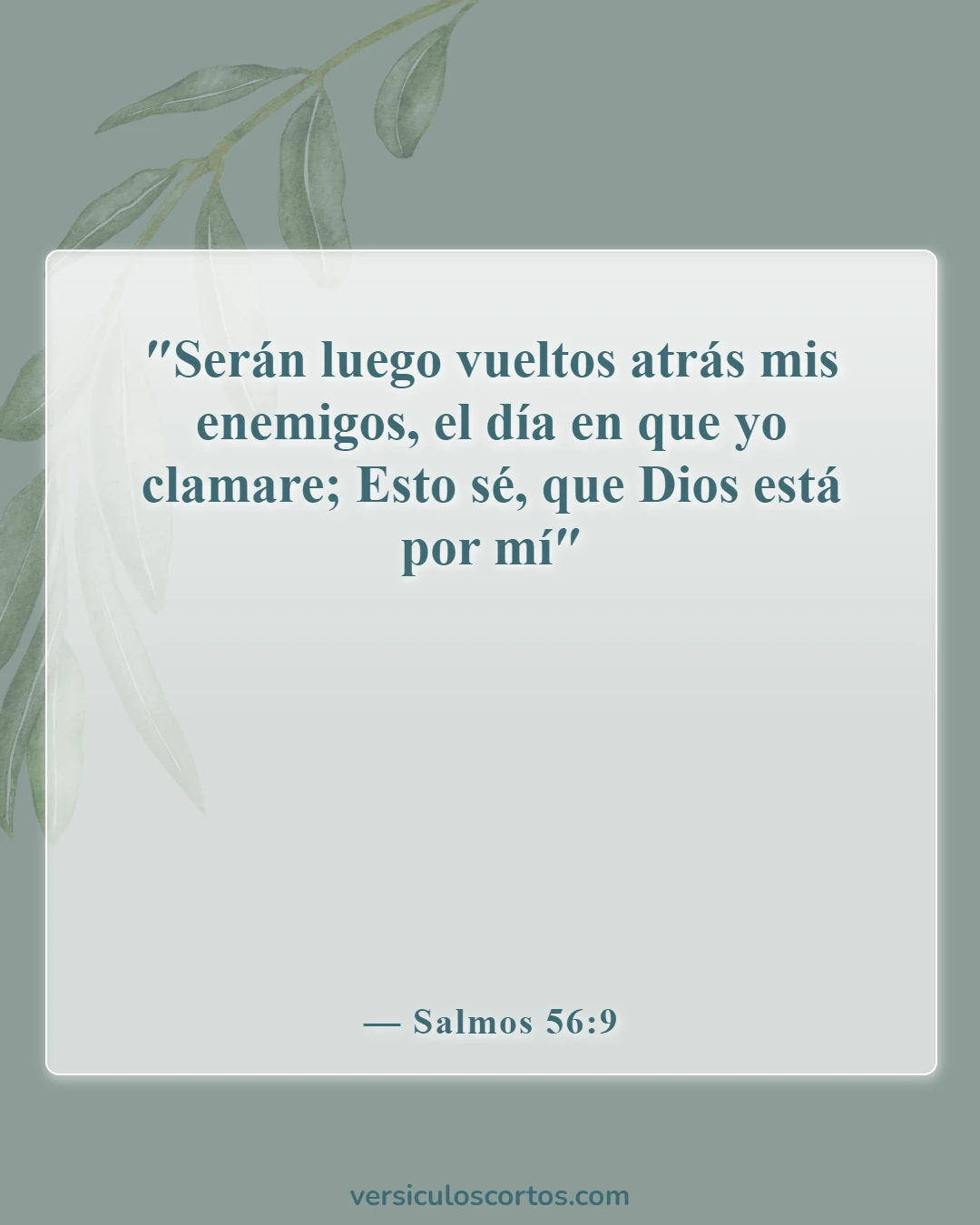 Versículos de la Biblia sobre la liberación de los enemigos (Salmos 56:9)
