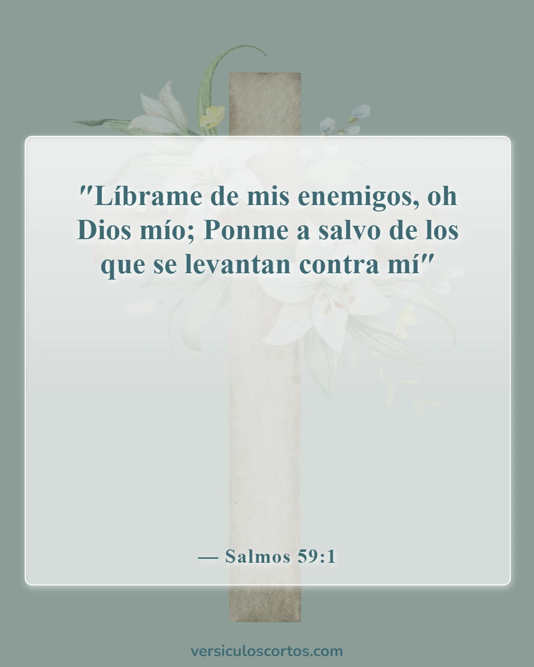 Versículos de la Biblia sobre la liberación de los enemigos (Salmos 59:1)