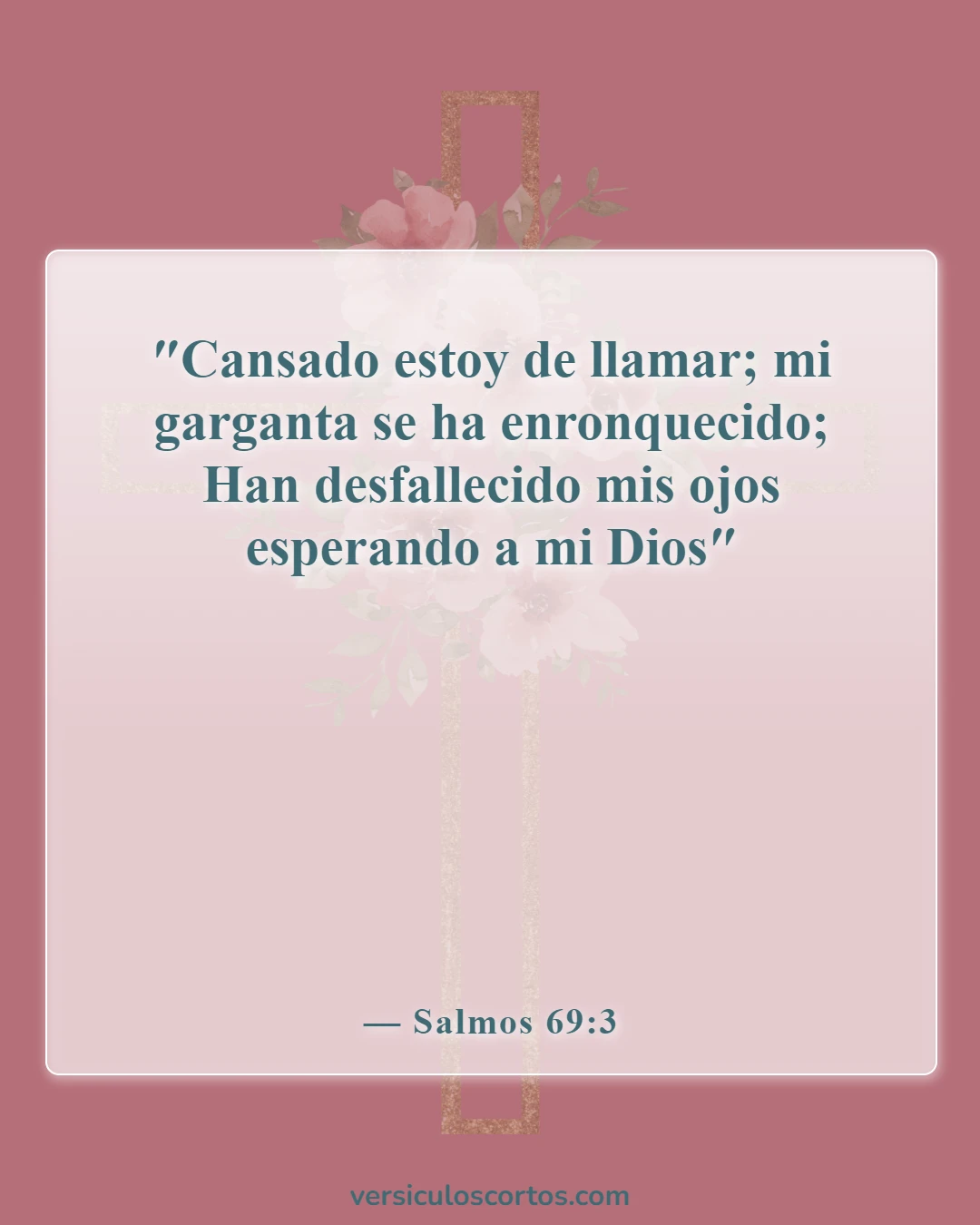 Versículos de la Biblia sobre cómo esperar en Dios (Salmos 69:3)
