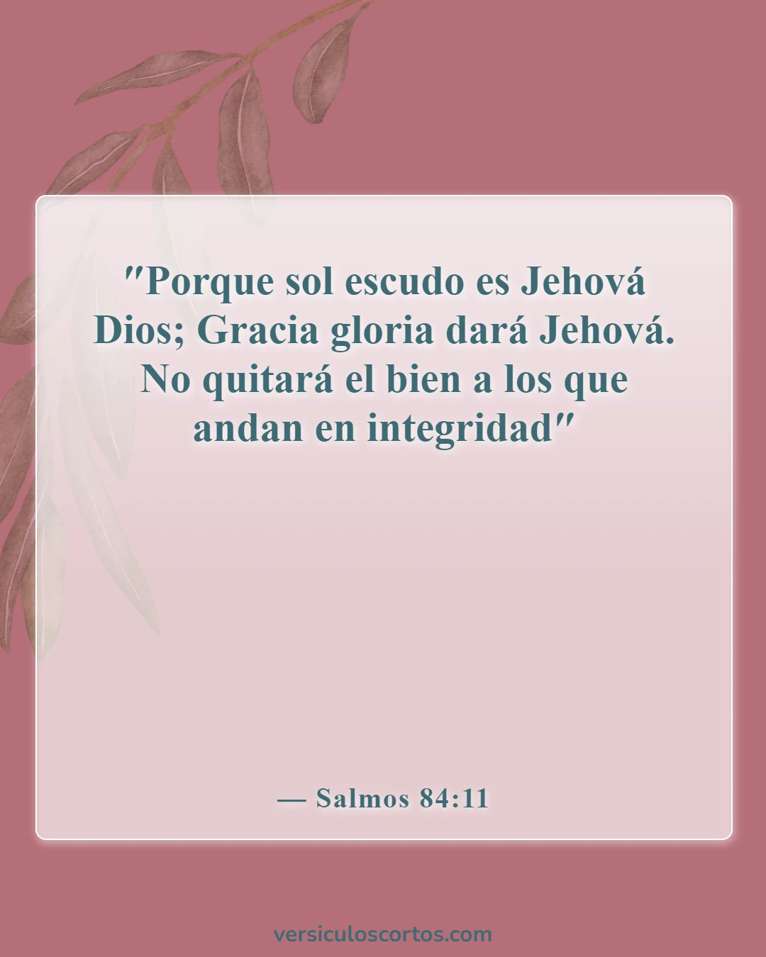 Versículos bíblicos sobre bendecir a alguien (Salmos 84:11)