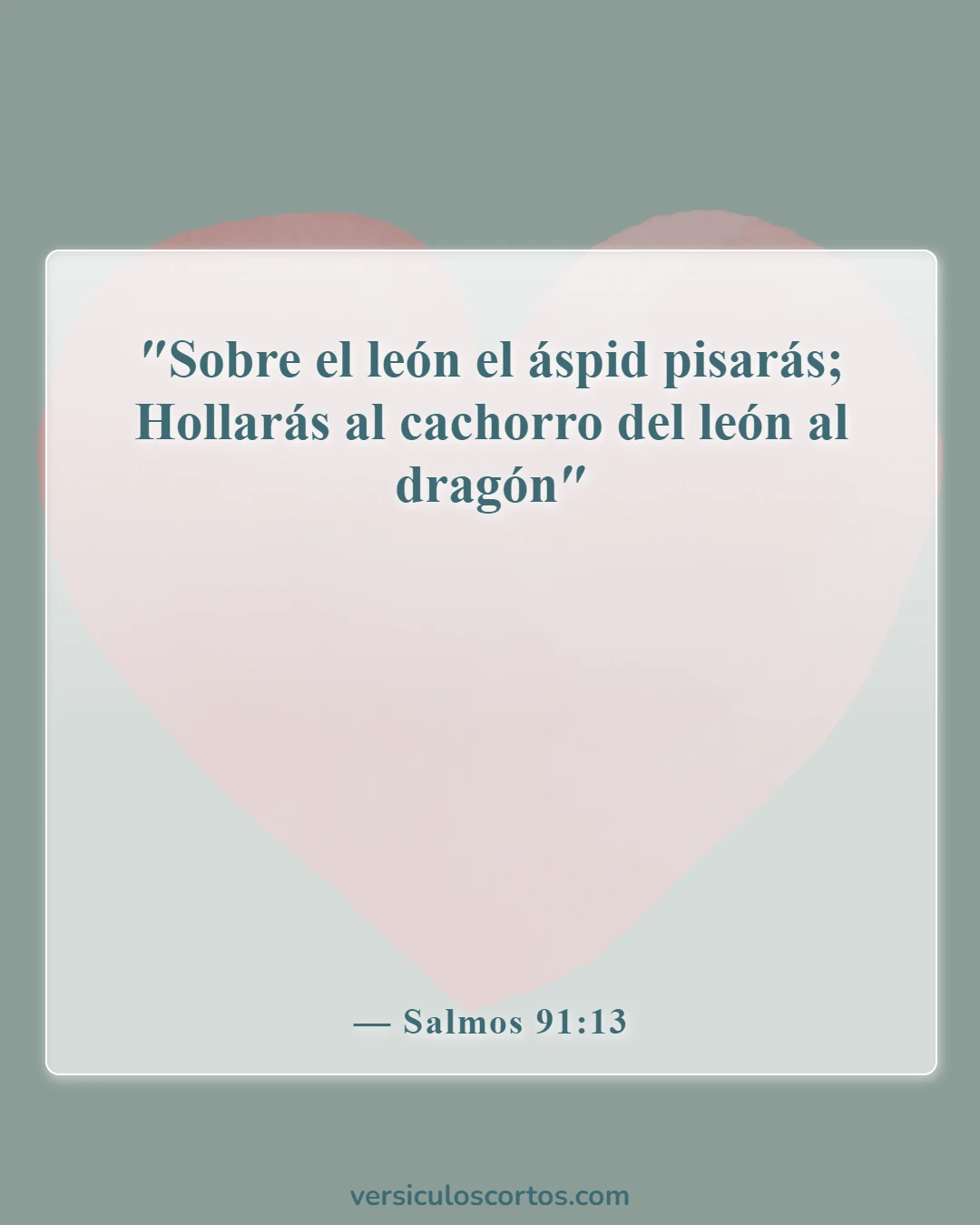 Versículos bíblicos sobre la protección divina (Salmos 91:13)