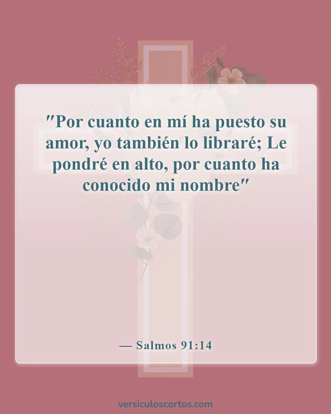 Versículos bíblicos sobre la protección divina (Salmos 91:14)