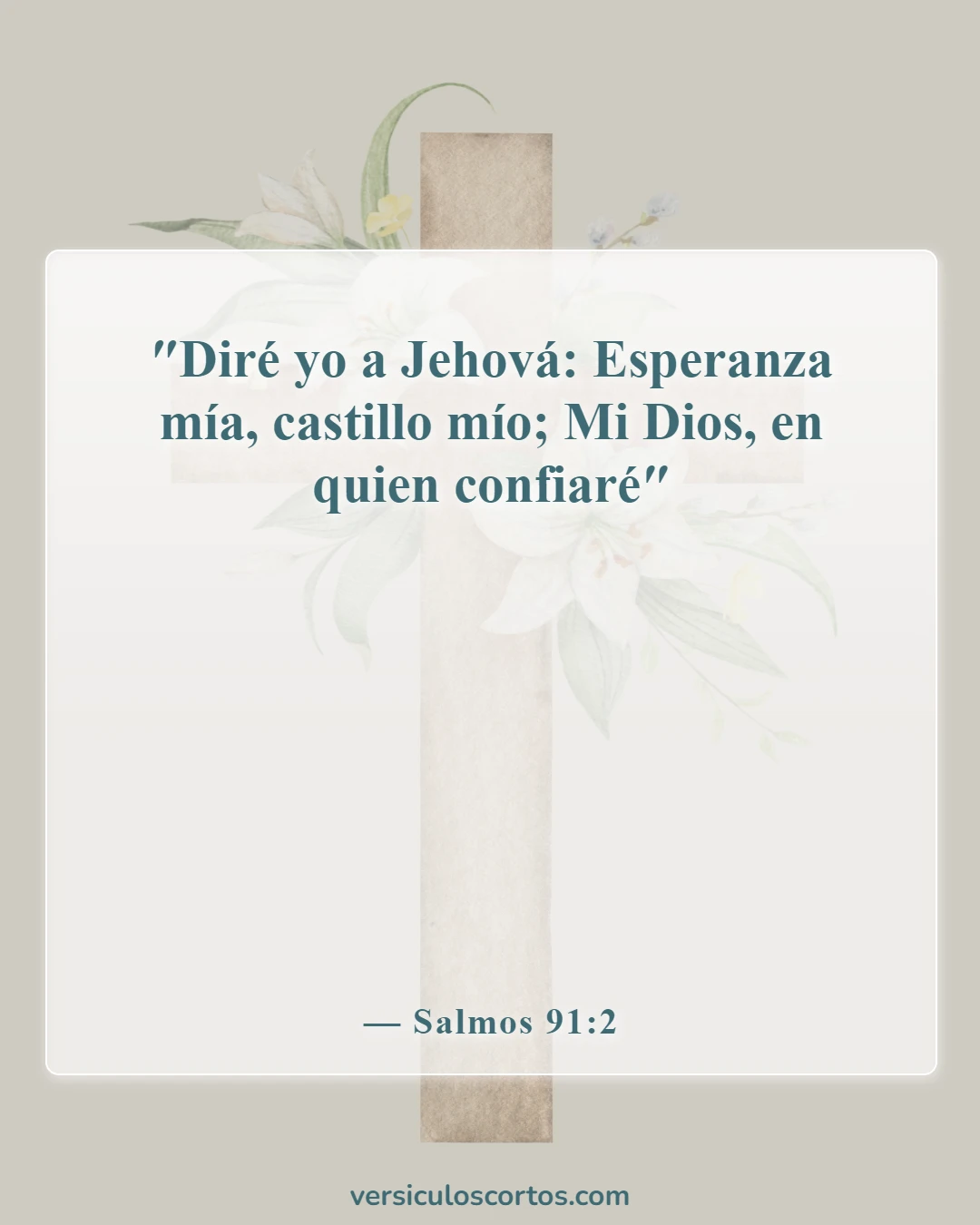 Versículos bíblicos sobre la protección divina (Salmos 91:2)
