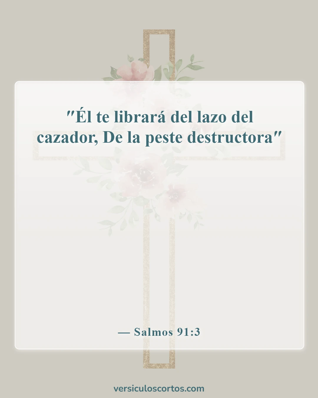 Versículos de la Biblia sobre romper maldiciones (Salmos 91:3)