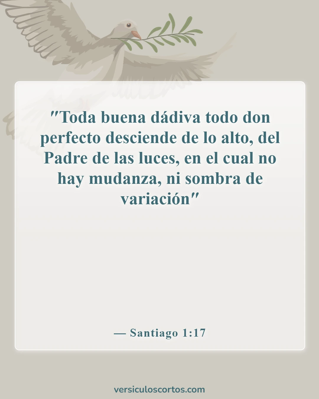 Versículos de la Biblia sobre la Apreciación de la Vida (Santiago 1:17)