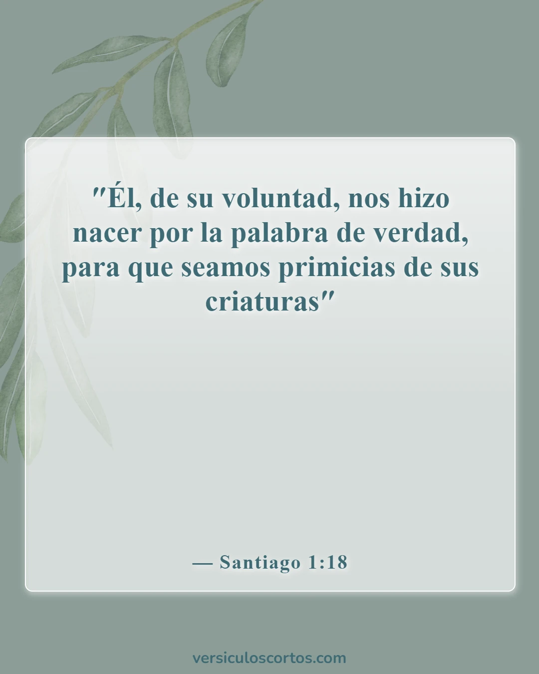 Versículos bíblicos sobre la evolución (Santiago 1:18)