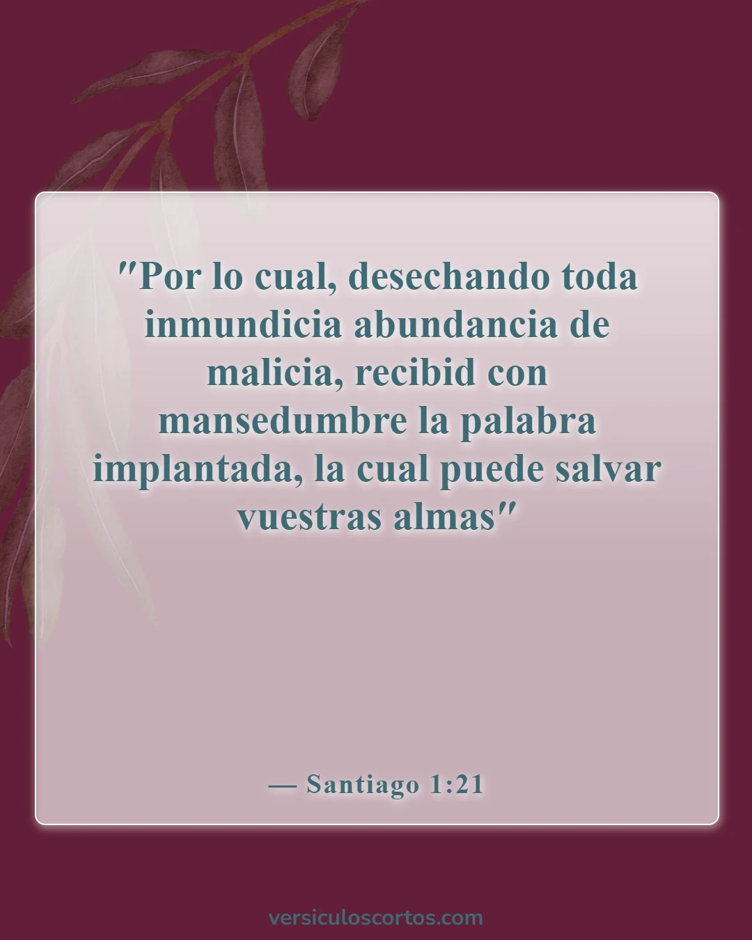 Versículos bíblicos sobre la salvación (Santiago 1:21)