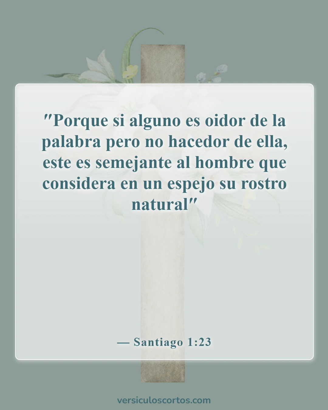 Versículos de la Biblia sobre el maquillaje (Santiago 1:23)