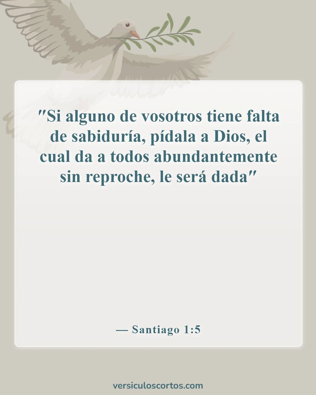 Versículos de la Biblia sobre tomar decisiones (Santiago 1:5)