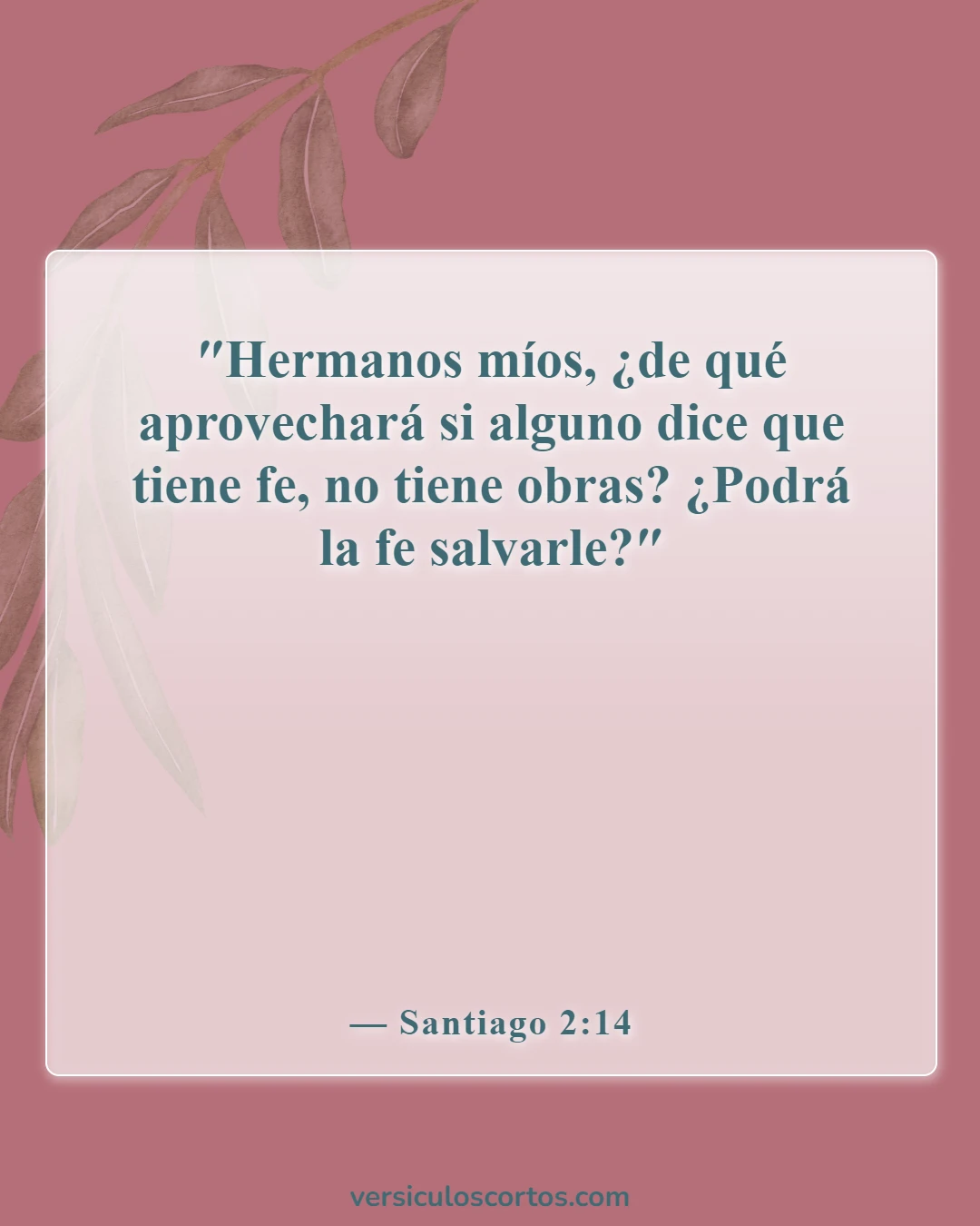 Versículos de la Biblia sobre falsos cristianos (Santiago 2:14)
