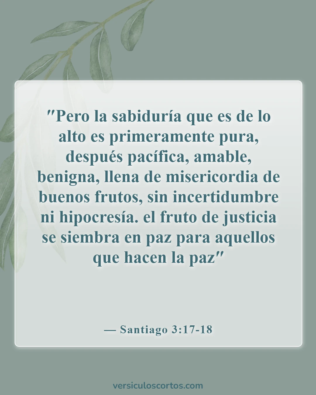 Versículos bíblicos sobre relaciones rotas (Santiago 3:17-18)