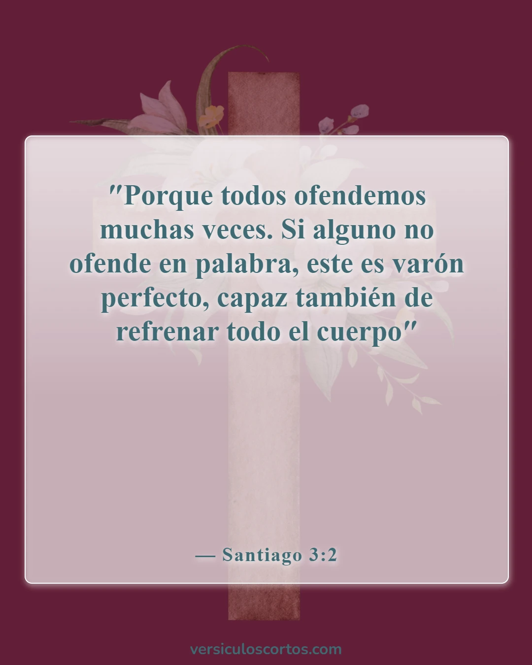 Versículos de la Biblia sobre el poder de las palabras (Santiago 3:2)