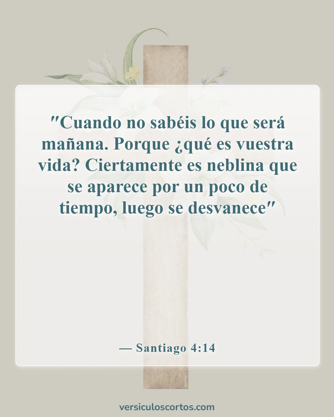 Versículos de la Biblia sobre el hombre (Santiago 4:14)
