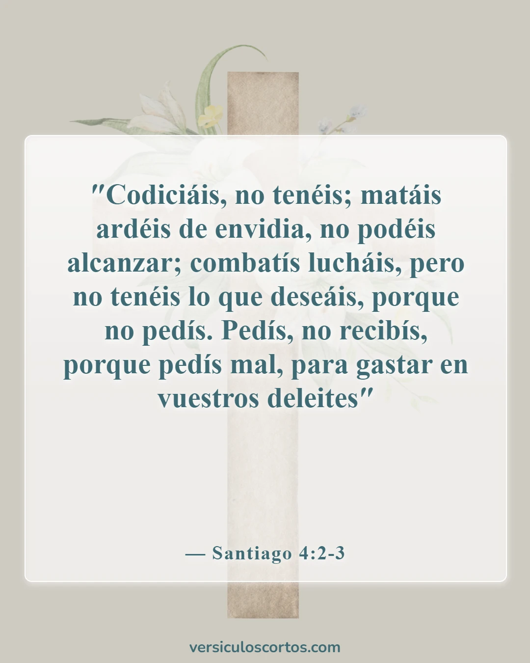 Versículos de la Biblia sobre pedir dinero (Santiago 4:2-3)