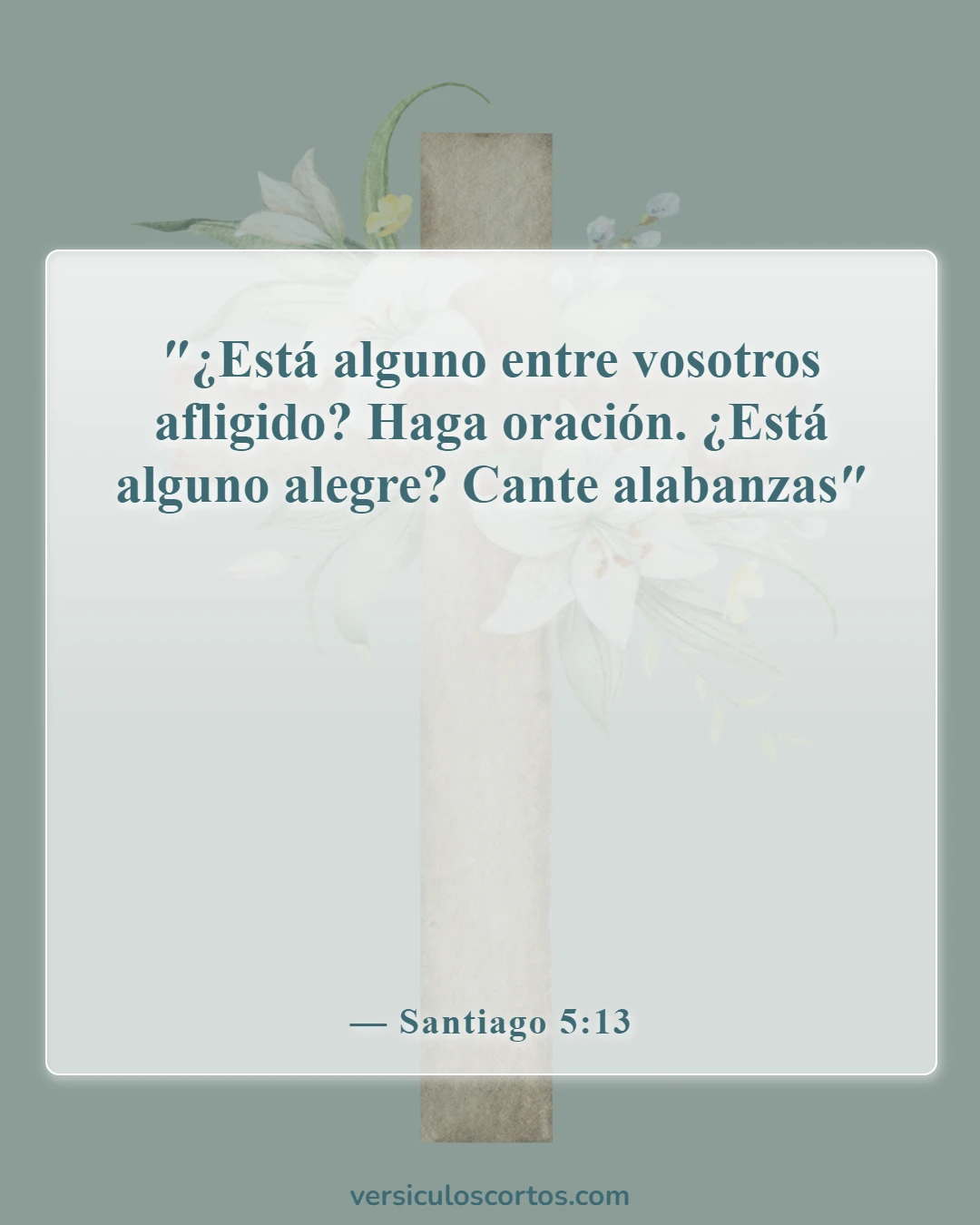 Versículos de la Biblia sobre la pérdida de un amigo (Santiago 5:13)