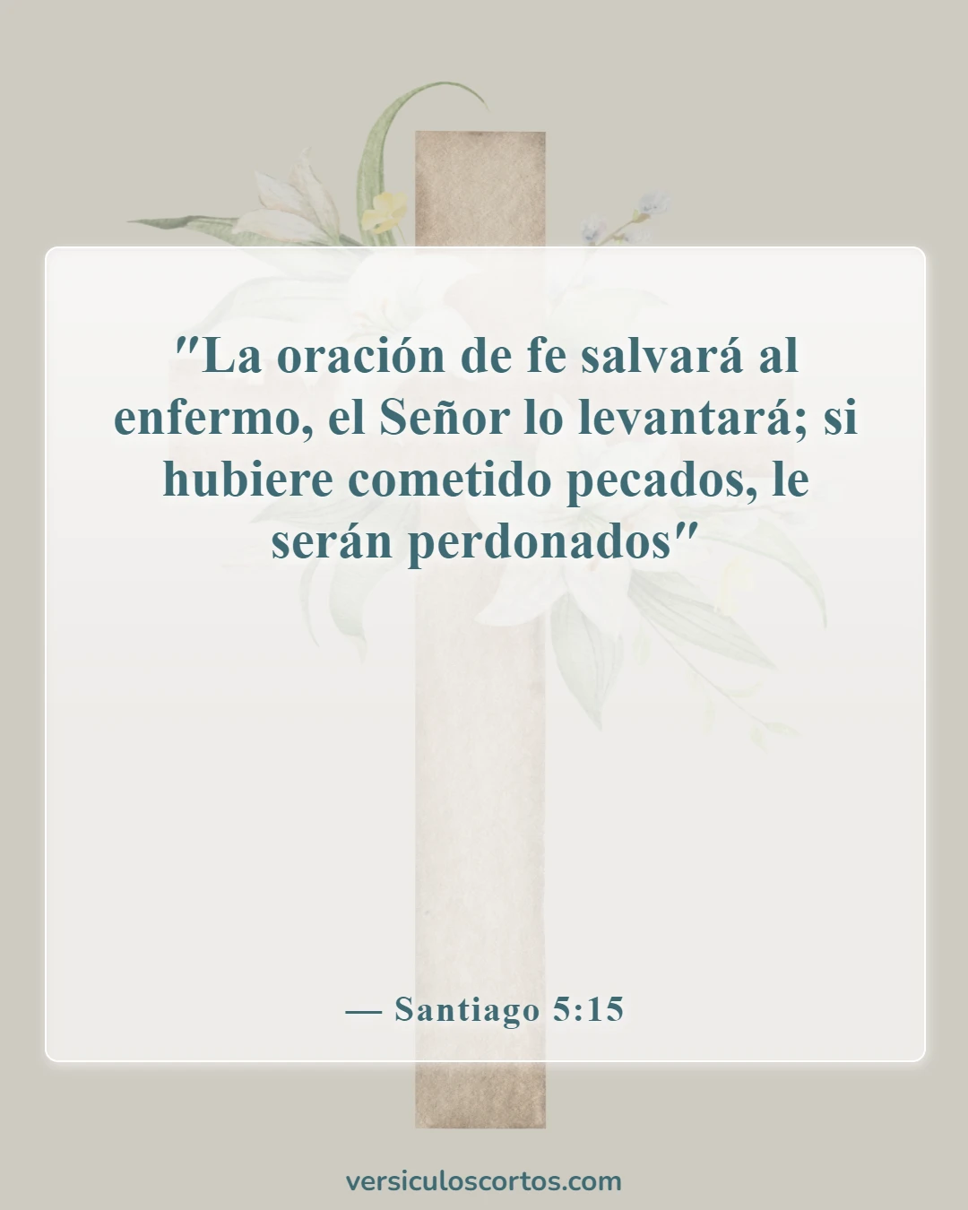 Versículos de la Biblia sobre el perdón de los pecados (Santiago 5:15)